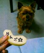 �����S���~�����c