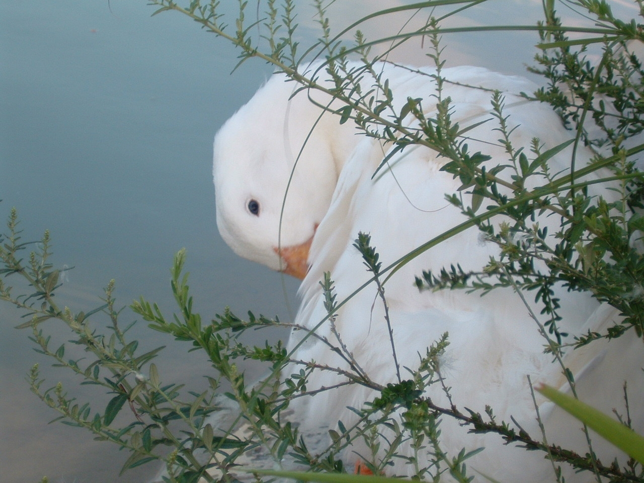 �тÂ��낢���B