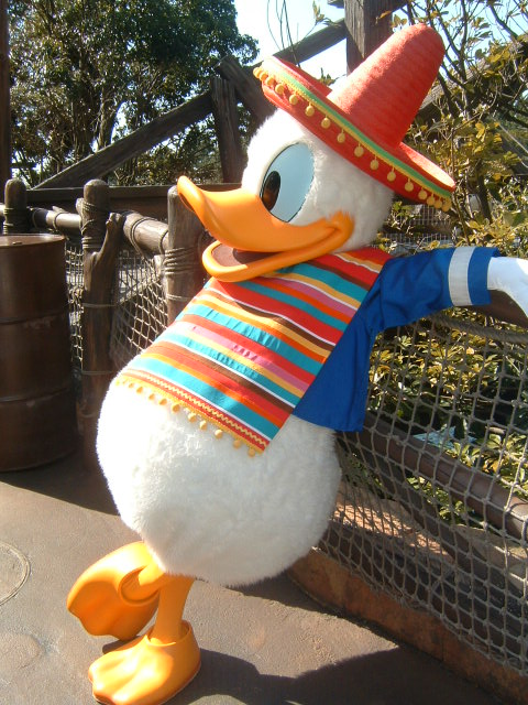 �A�q������H