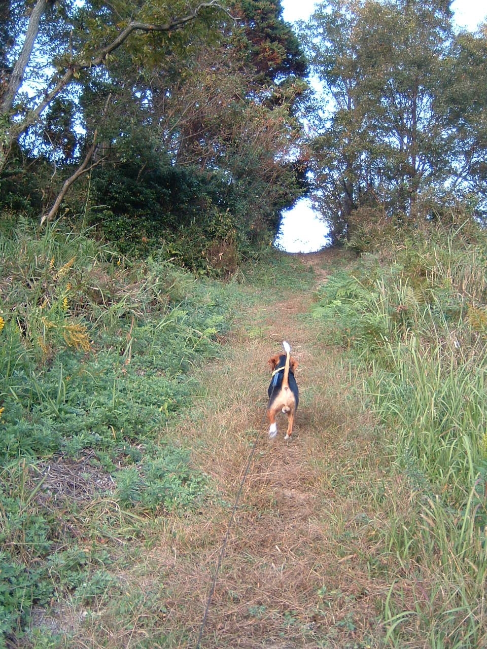 �؂̃g���l���ցA�꒼���I